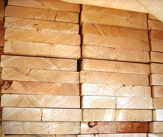 南山智利辐射松方木